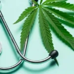 Medical Marijuana - an in Depth Anaylsis on What Works and What Doesn't
